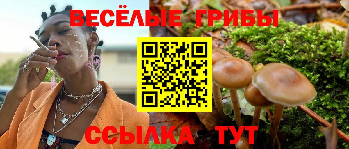 Псилоцибиновые грибы Magic Shrooms Вязники