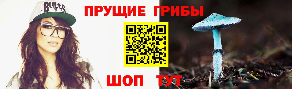 Псилоцибиновые грибы Magic Shrooms  даркнет сайт  Вязники  Псилоцибиновые грибы Magic Shrooms  Вход с VPN 